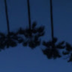 Meet your Posher, Sophie